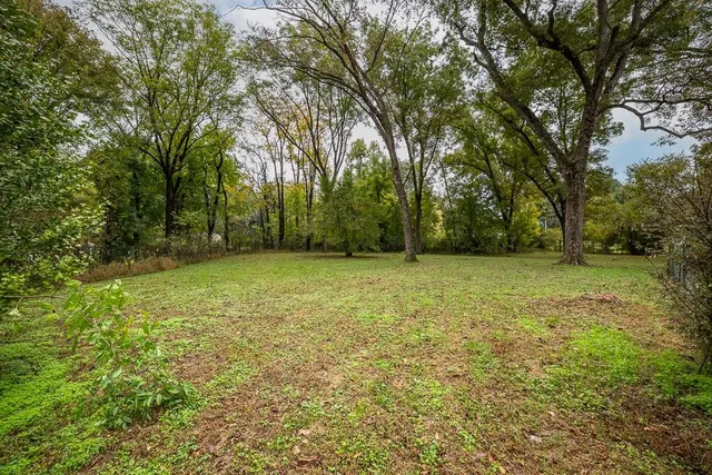 a view of a yard with a trees