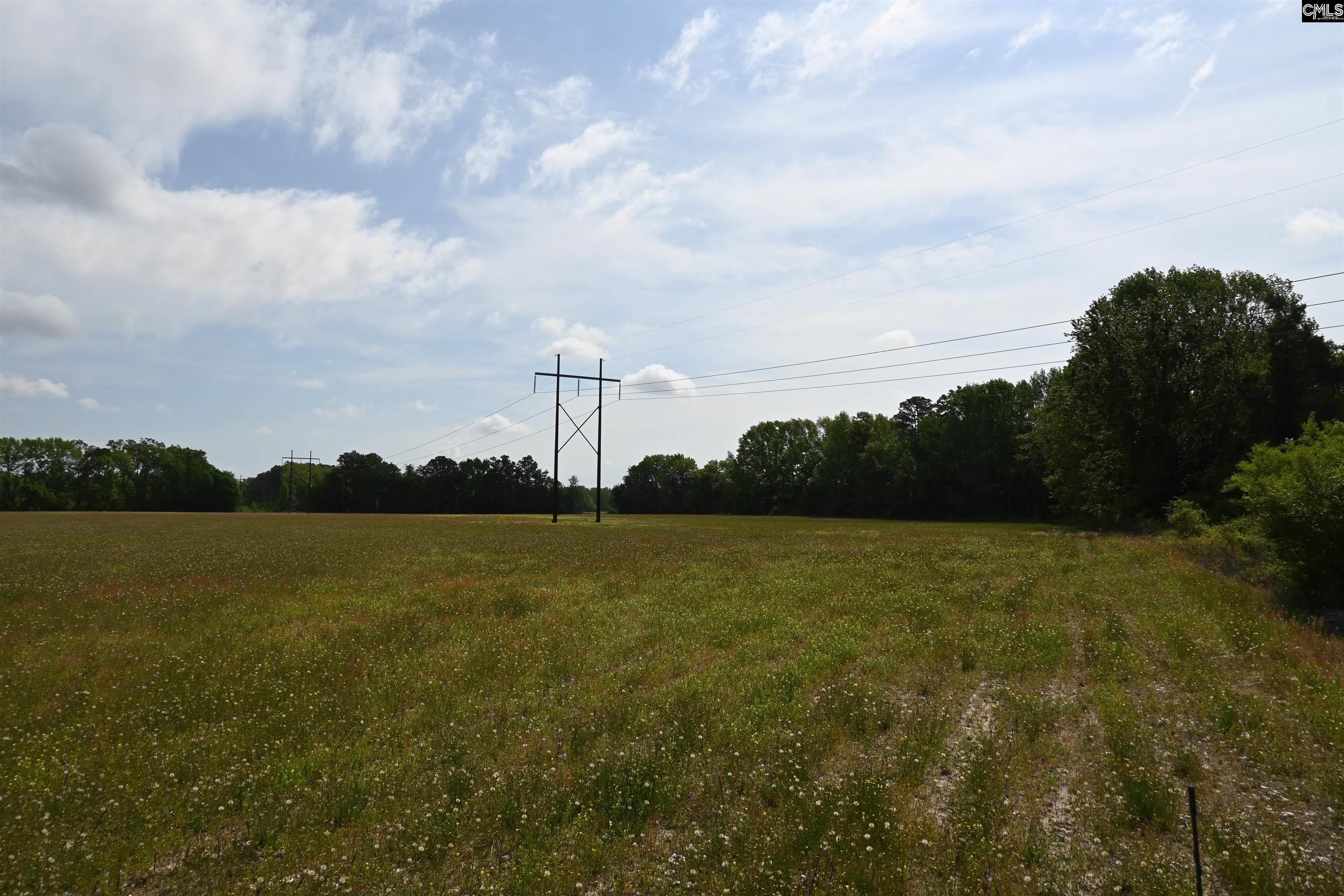 Tbd Gallowaytown Road Hartsville, SC 29550 - Photo 15 of 34