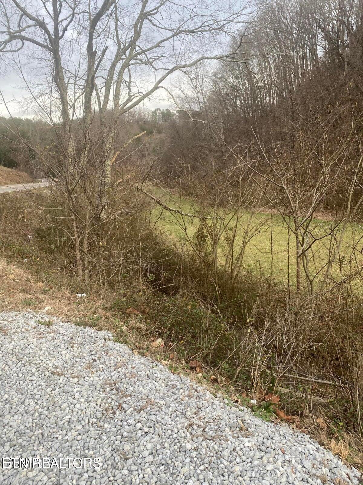 1440 Goose Gap Road Sevierville, TN 37876 - Photo 12 of 60 12