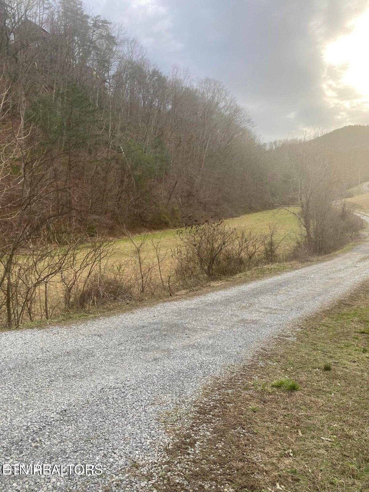 1440 Goose Gap Road Sevierville, TN 37876 - Photo 13 of 60 13