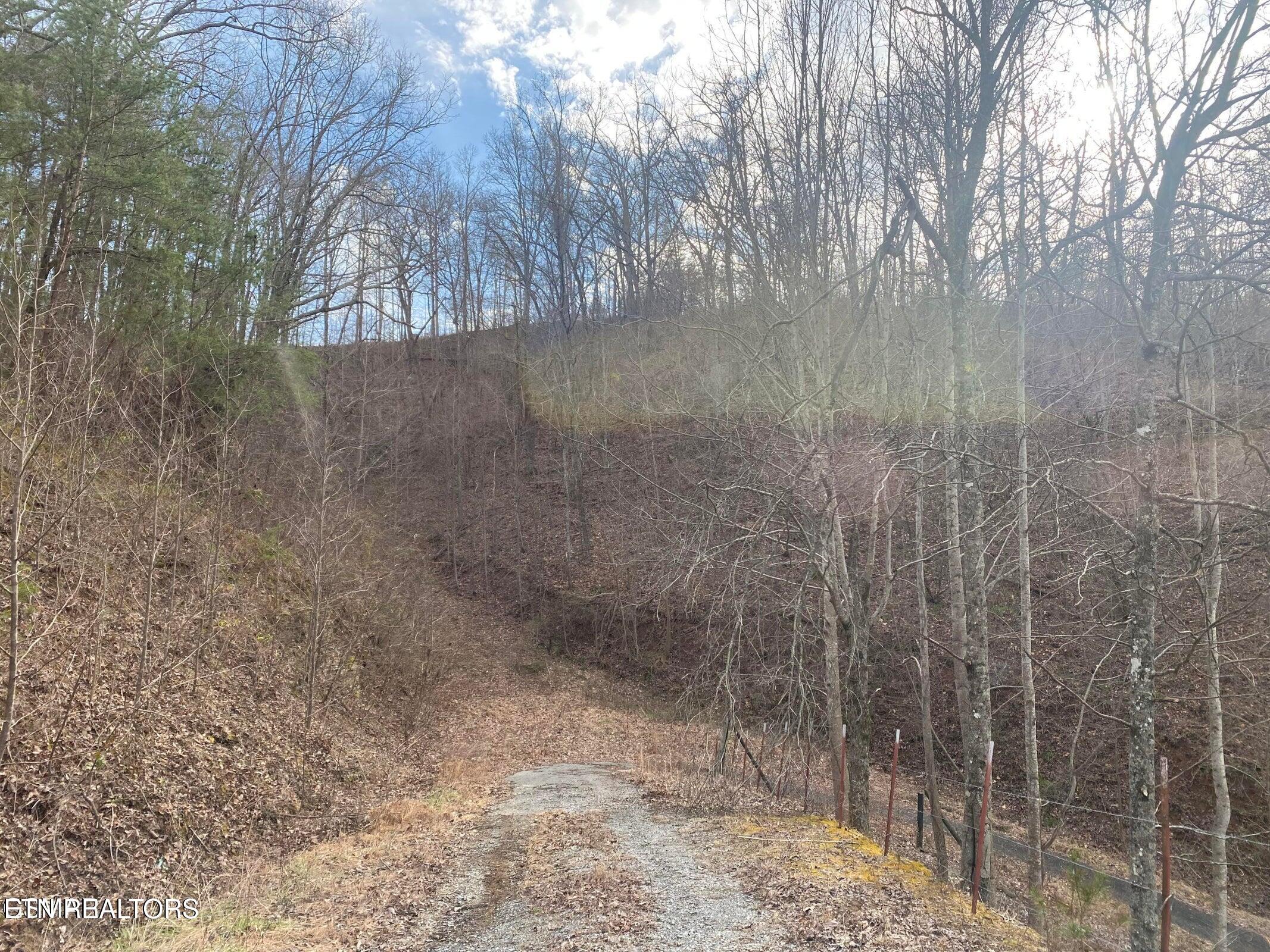 1440 Goose Gap Road Sevierville, TN 37876 - Photo 15 of 60 15
