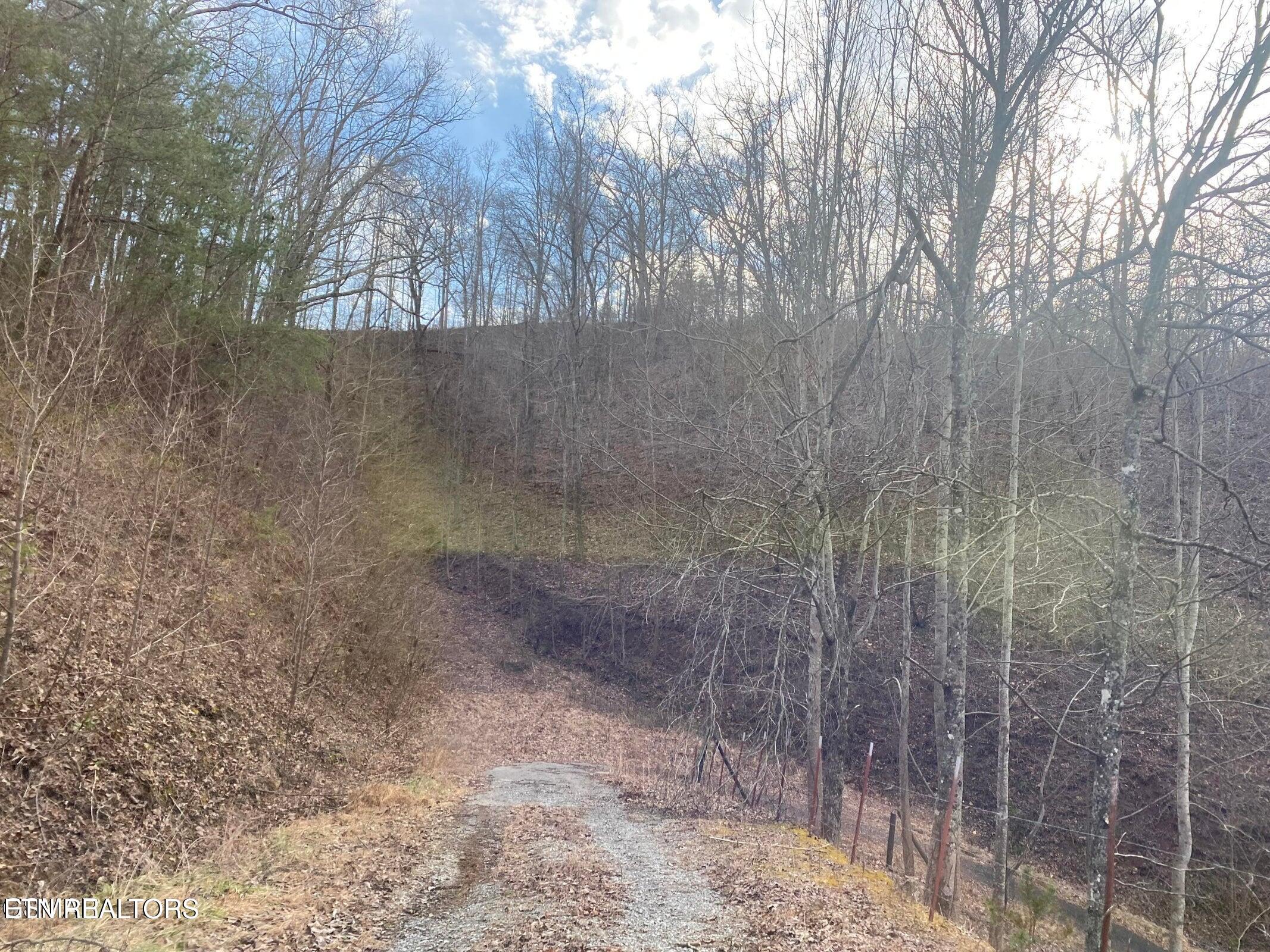 1440 Goose Gap Road Sevierville, TN 37876 - Photo 16 of 60 16