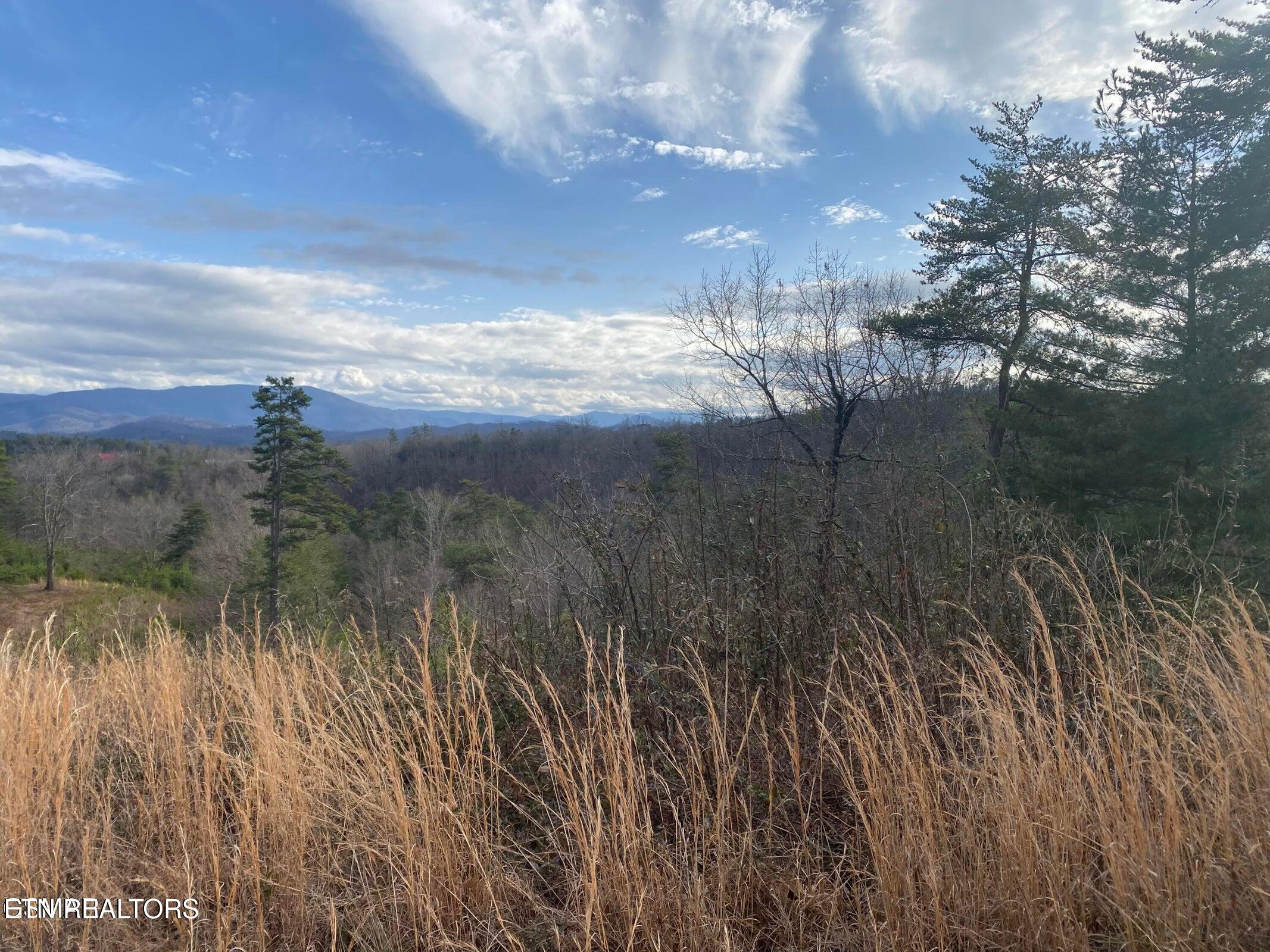 1440 Goose Gap Road Sevierville, TN 37876 - Photo 23 of 60 23
