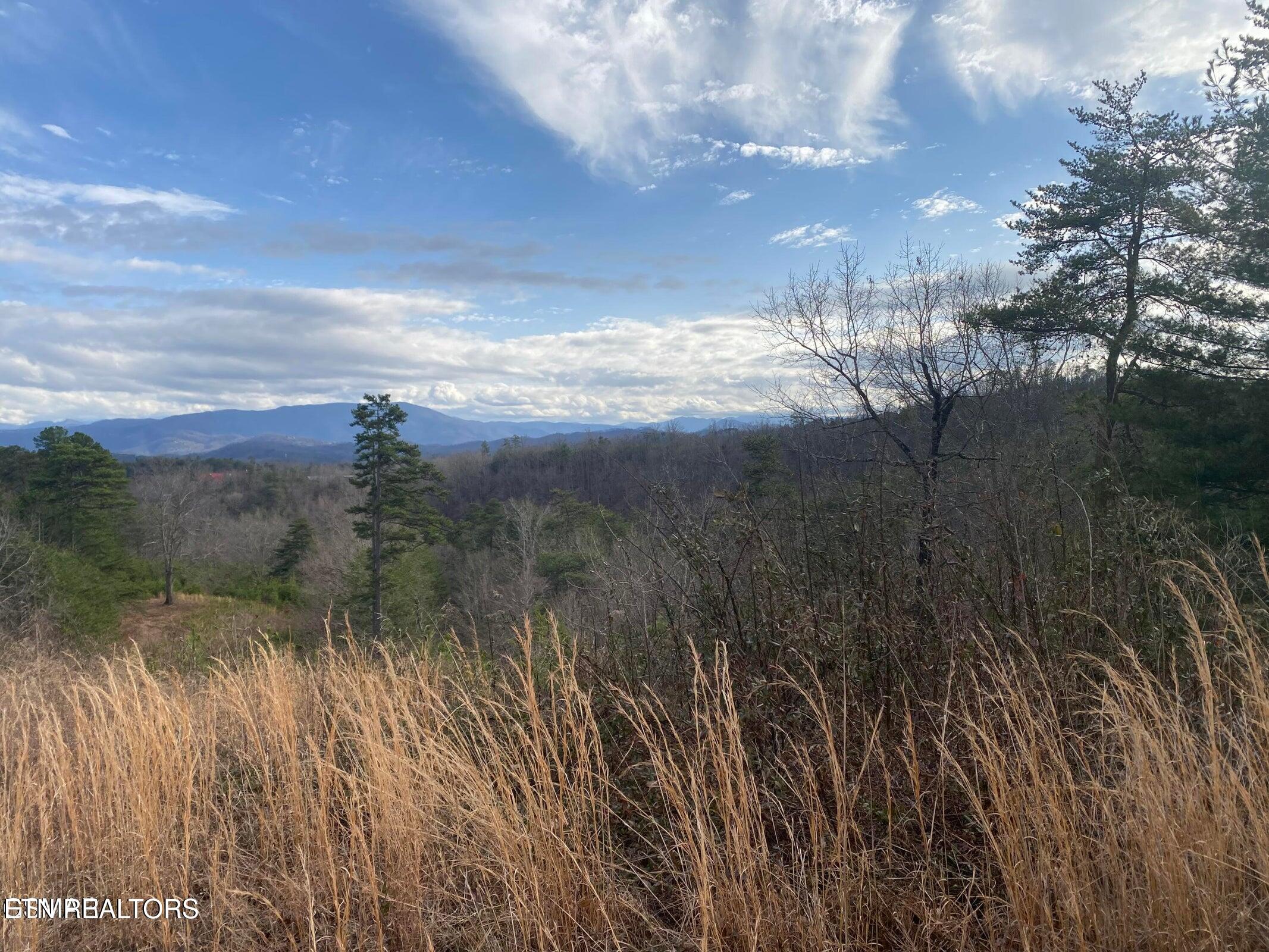 1440 Goose Gap Road Sevierville, TN 37876 - Photo 24 of 60 24