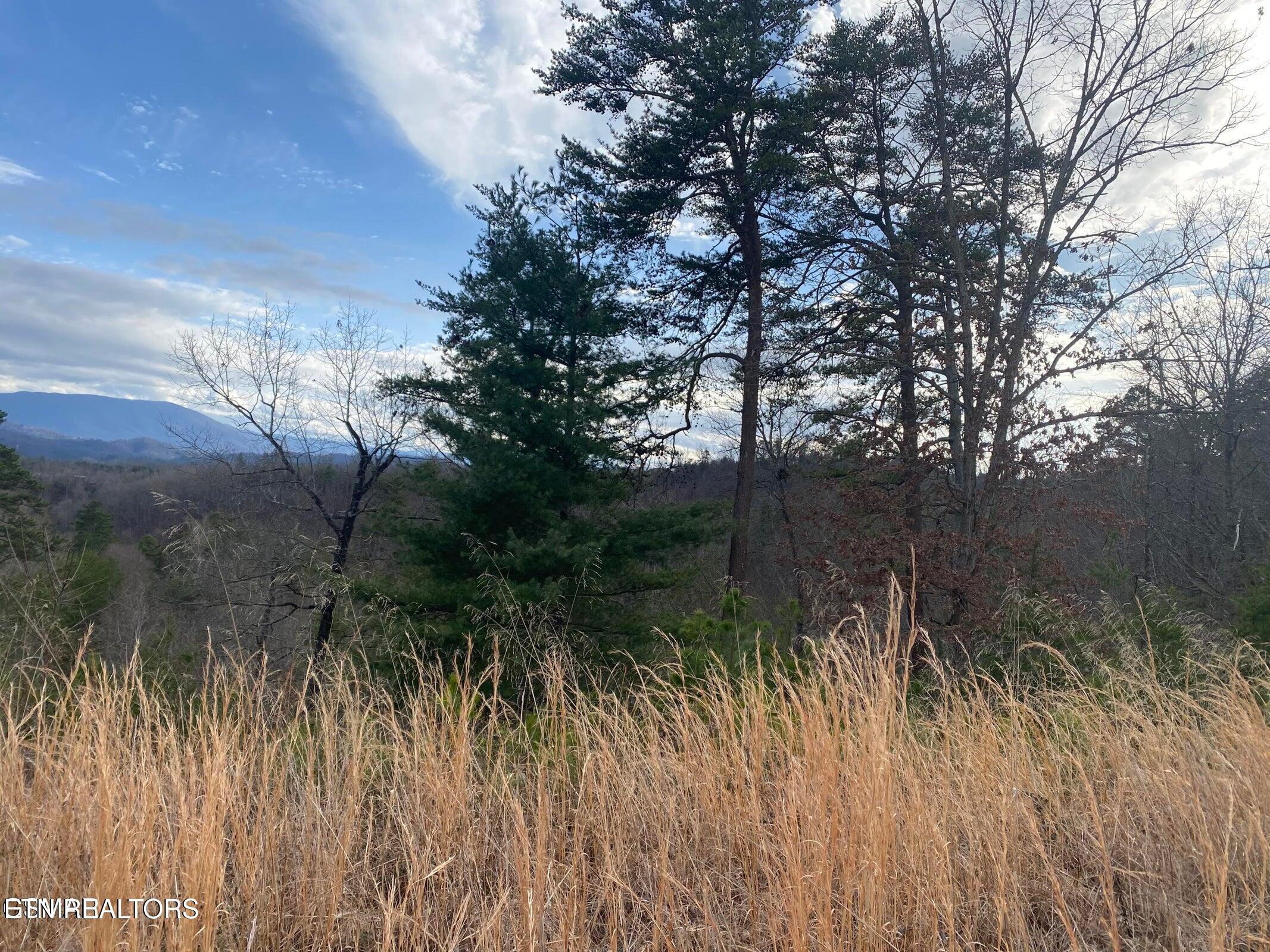 1440 Goose Gap Road Sevierville, TN 37876 - Photo 25 of 60 25