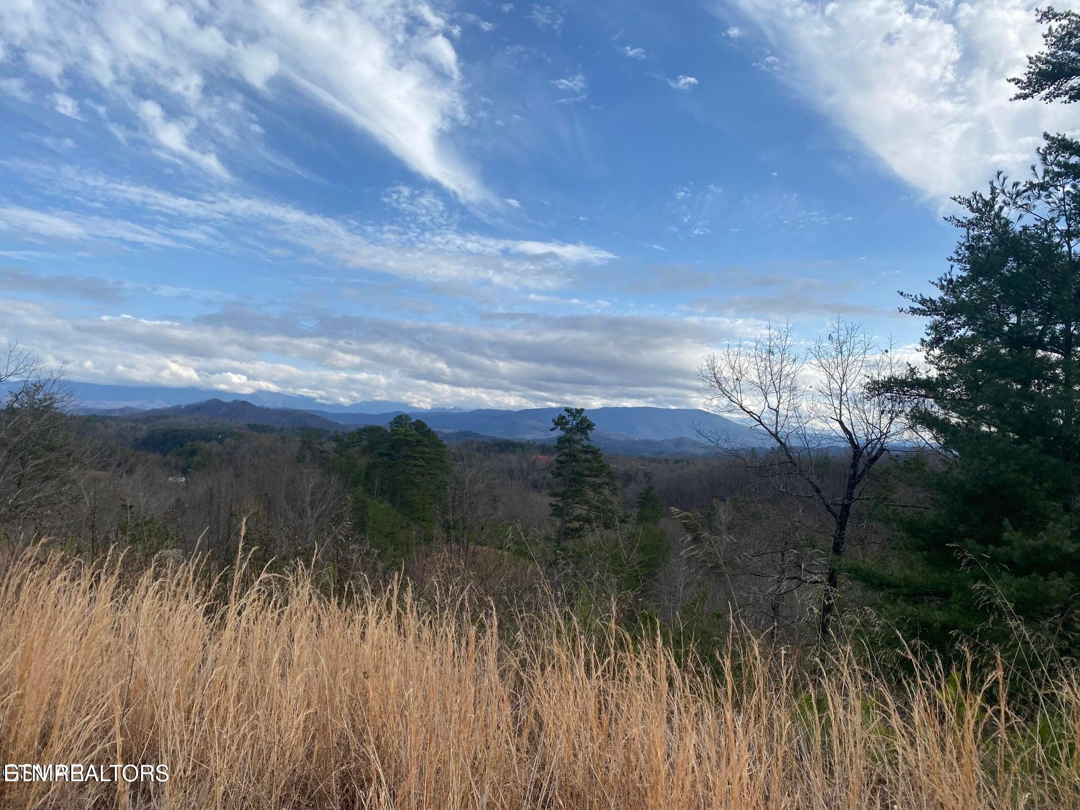 1440 Goose Gap Road Sevierville, TN 37876 - Photo 26 of 60 26