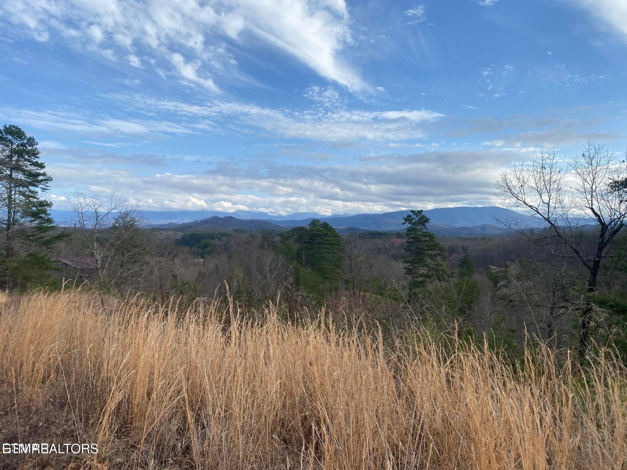 1440 Goose Gap Road Sevierville, TN 37876 - Photo 28 of 60 28