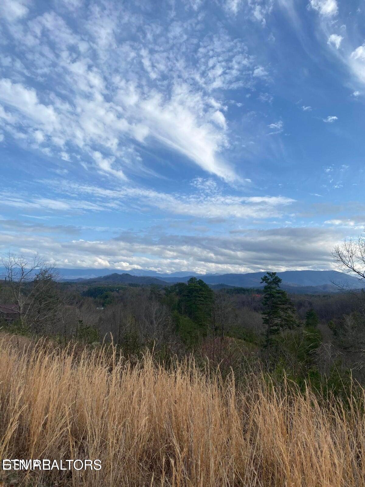 1440 Goose Gap Road Sevierville, TN 37876 - Photo 29 of 60 29
