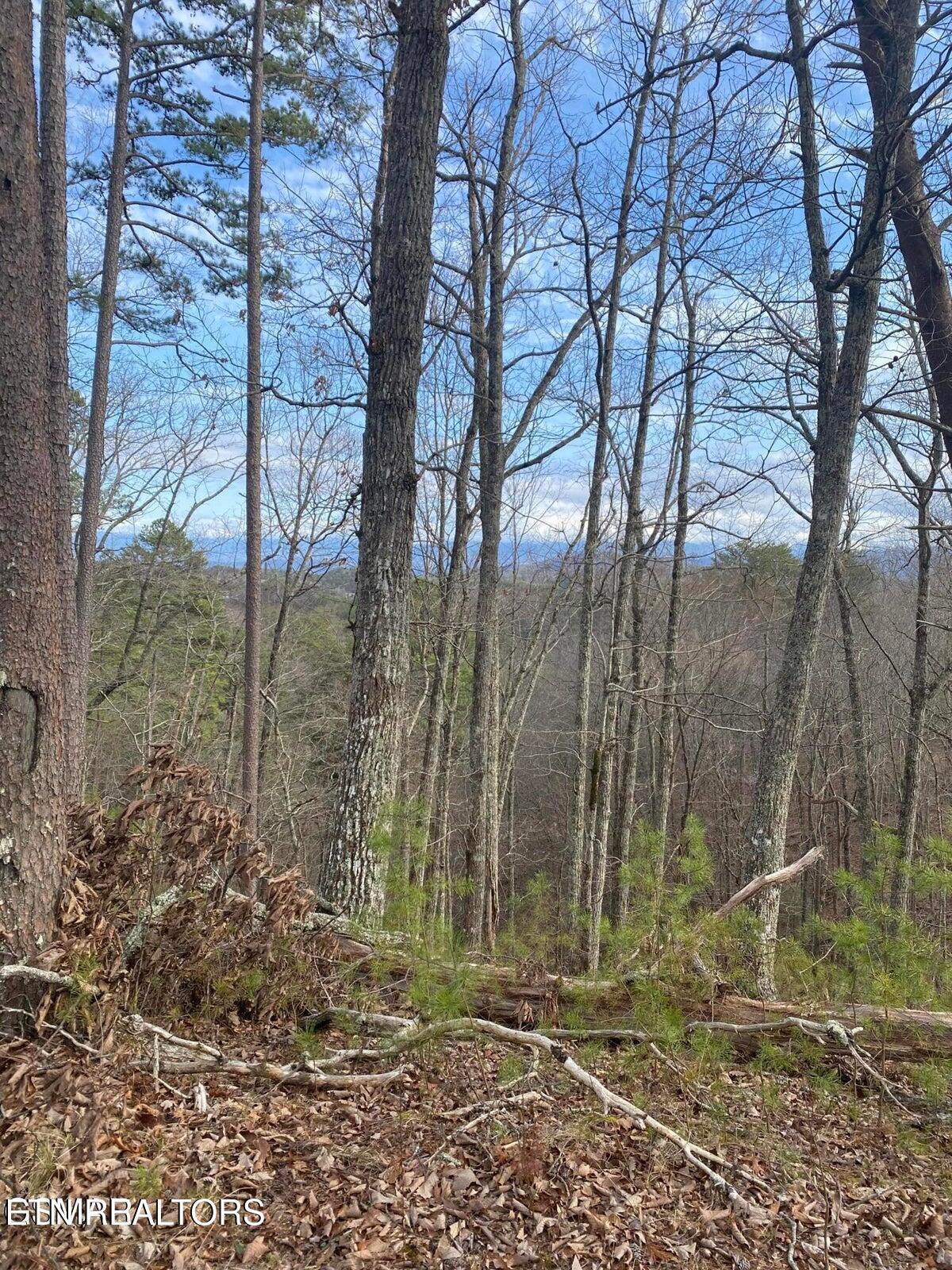 1440 Goose Gap Road Sevierville, TN 37876 - Photo 31 of 60 31