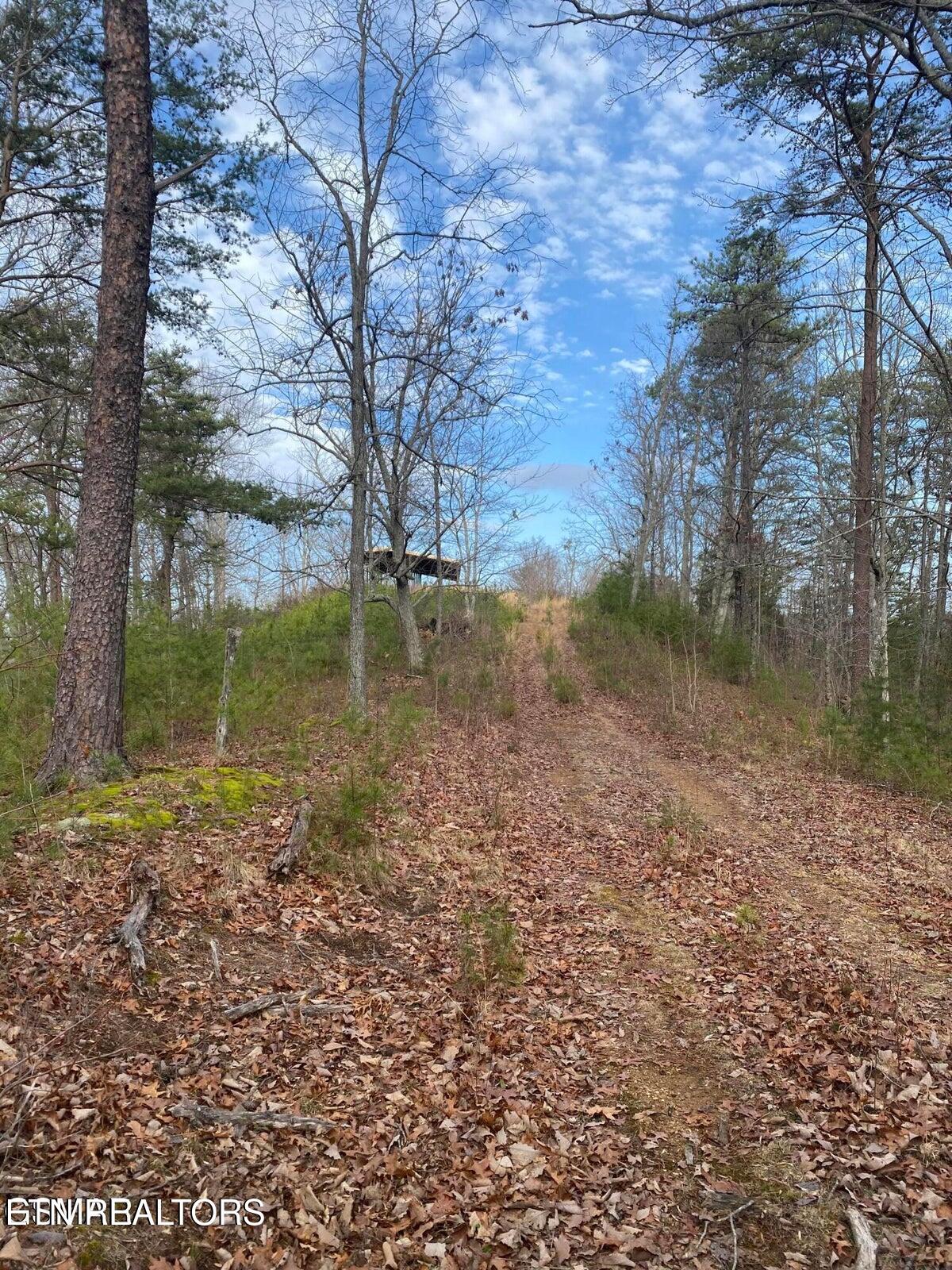 1440 Goose Gap Road Sevierville, TN 37876 - Photo 35 of 60 35