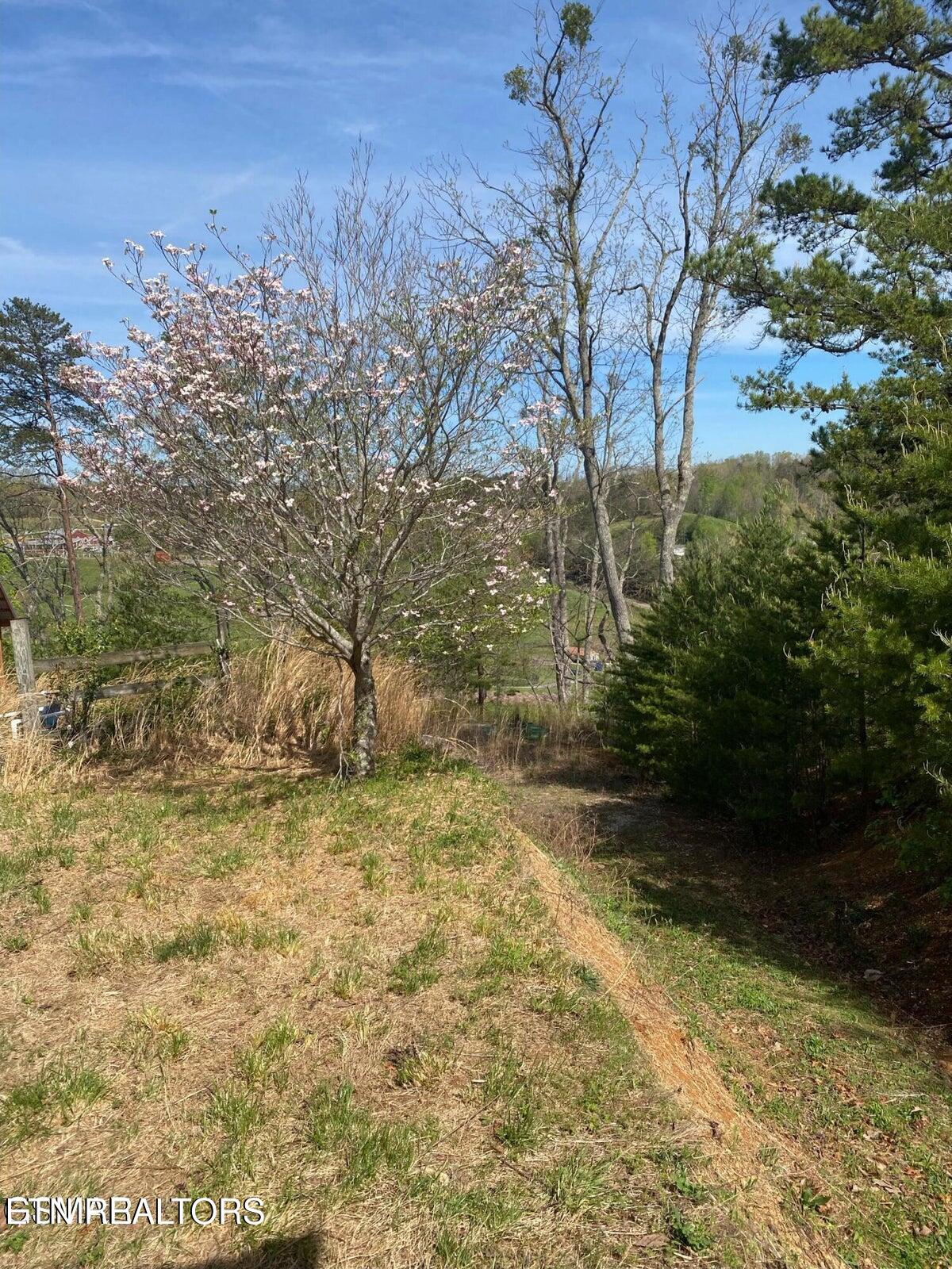 1440 Goose Gap Road Sevierville, TN 37876 - Photo 39 of 60 39