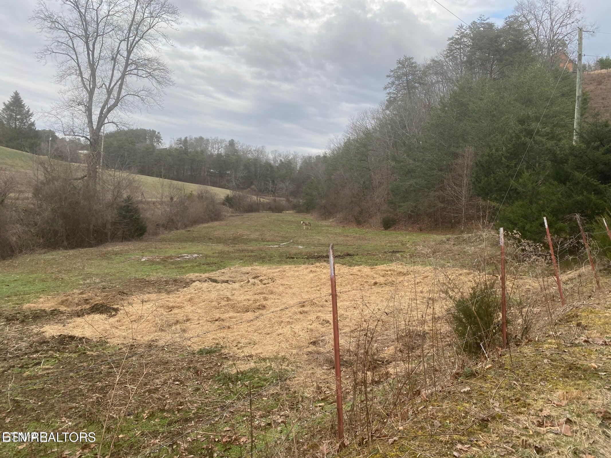 1440 Goose Gap Road Sevierville, TN 37876 - Photo 10 of 60 10