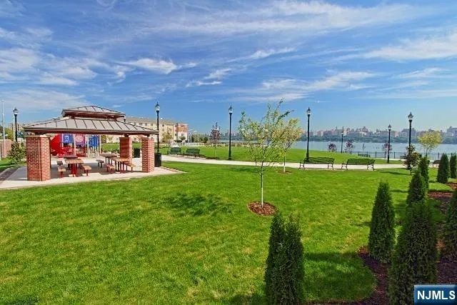 a view of a park with large trees
