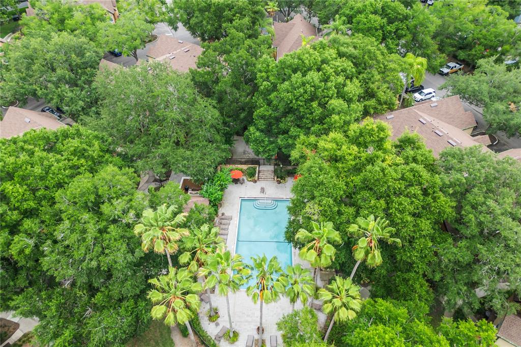 6324 Raleigh Street, Unit 702 Orlando, FL 32835 - Photo 47 of 52