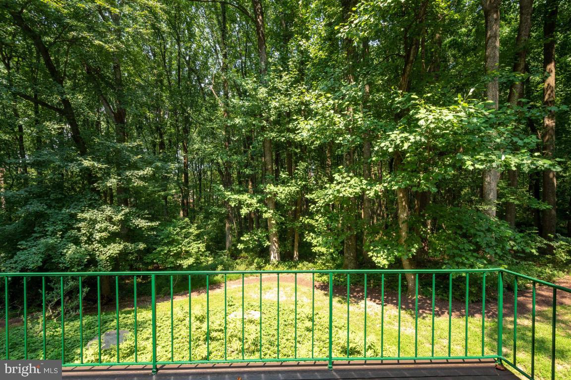 11526 Vale Road Oakton, VA 22124 - Photo 32 of 39 Wooded Lot