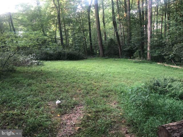 11526 Vale Road Oakton, VA 22124 - Photo 34 of 39 Septic Field