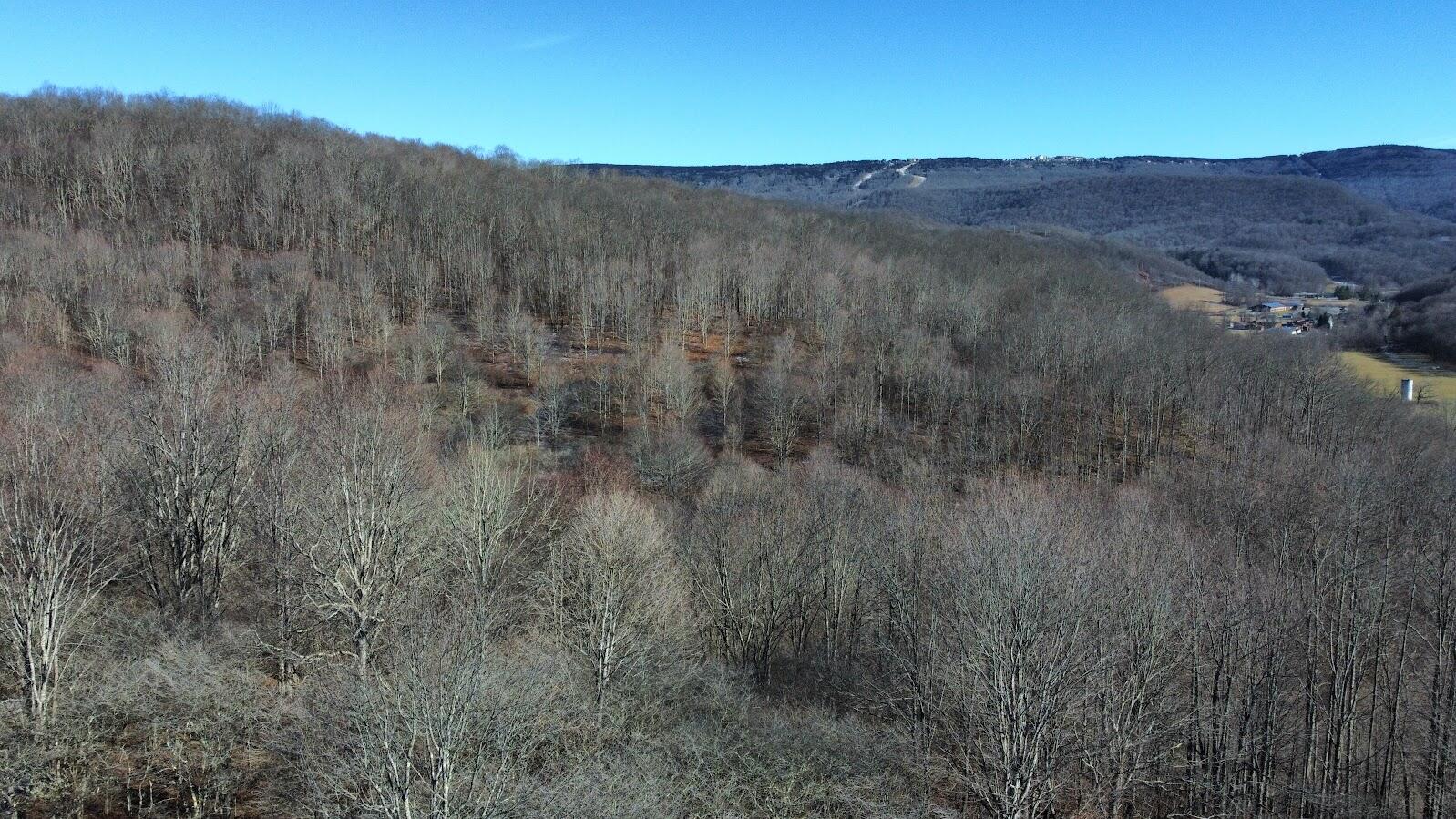 27 Acres Big Spring Slatyfork, WV 26291 - Photo 12 of 22 View of Property and Snowshoe
