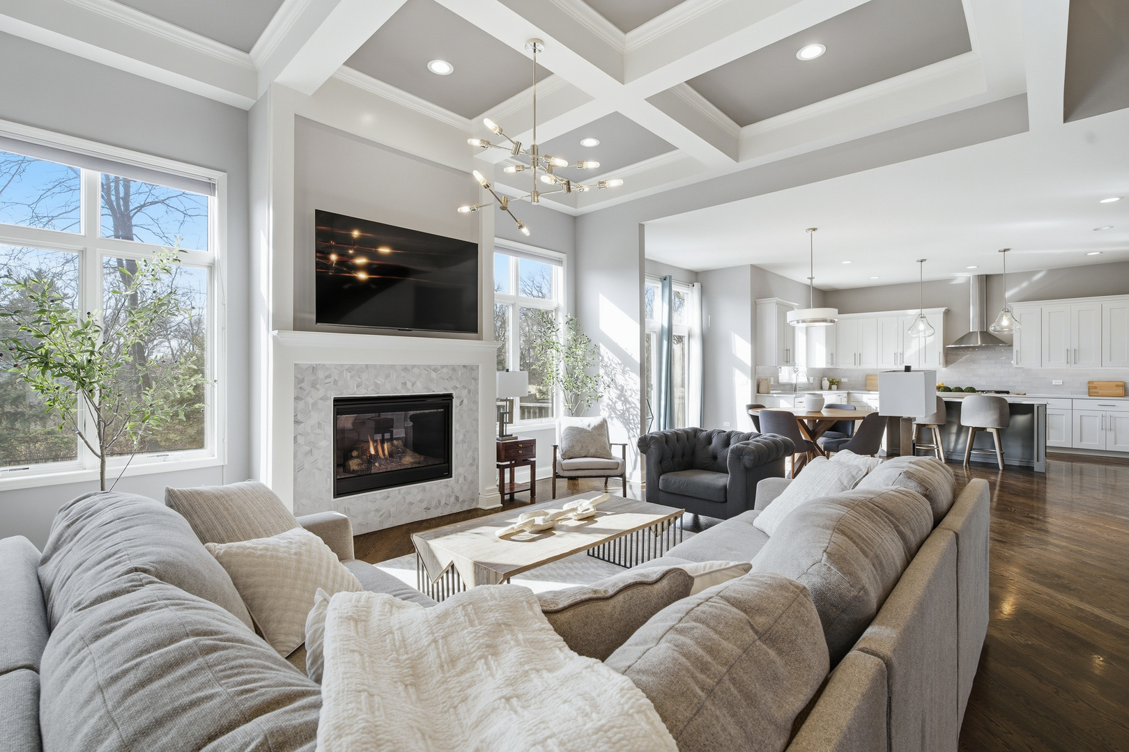 28 Pinnacle Court Naperville, IL 60565 - Photo 5 of 40 a living room with furniture a flat screen tv and a fireplace