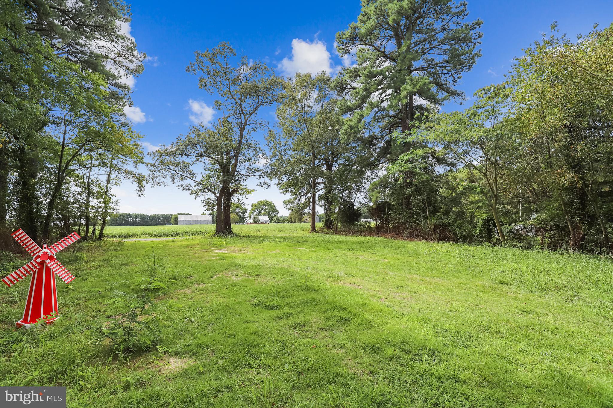 20620 Colton Point Road Coltons Point, MD 20626 - Photo 27 of 34 Backyard view