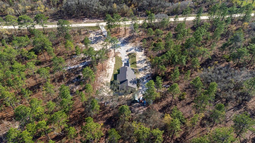 12293 Southwest 89th Street Dunnellon, FL 34432 - Photo 7 of 21 a view of a forest with a tree