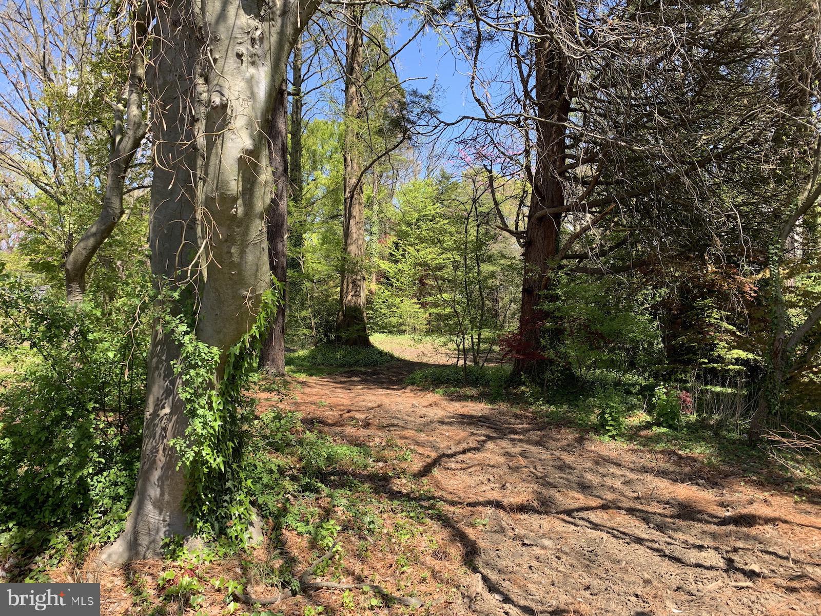 Lot 1 East Brookhaven Road Wallingford, PA 19086 - Photo 14 of 19