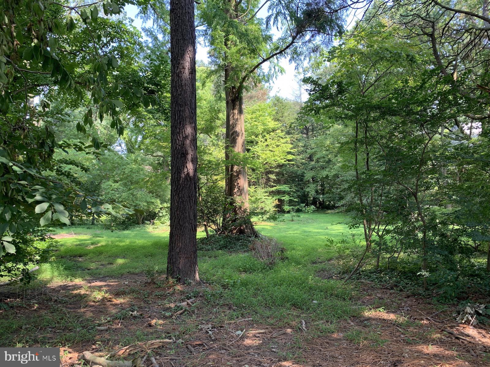 Lot 1 East Brookhaven Road Wallingford, PA 19086 - Photo 8 of 19