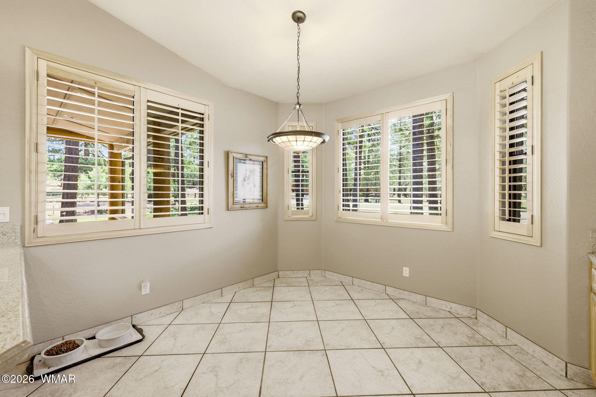 2236 Roundabout Way Overgaard, AZ 85933 - Photo 13 of 45 a view of an empty room with windows