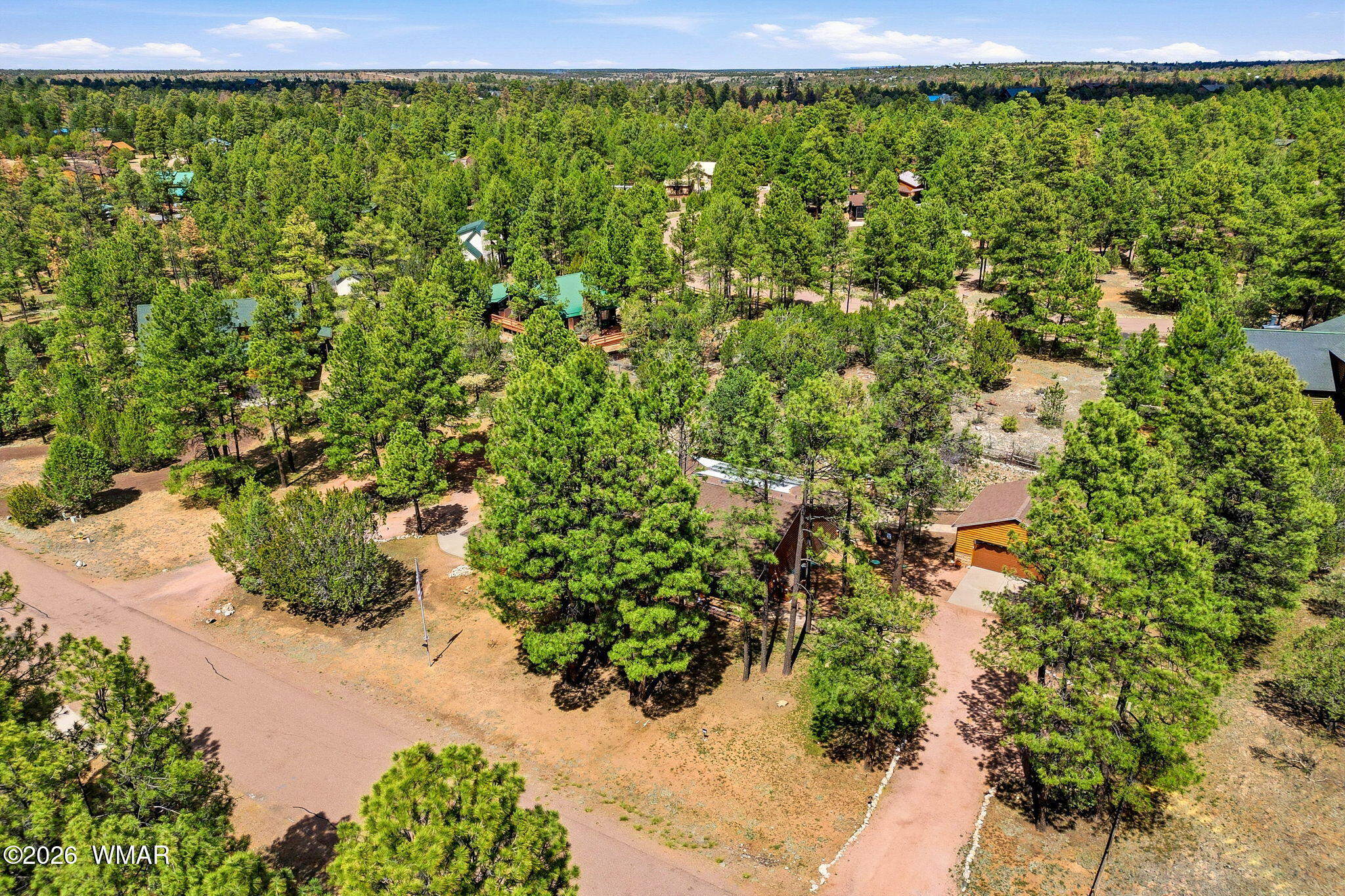 2236 Roundabout Way Overgaard, AZ 85933 - Photo 43 of 45 a view of a garden with a tree