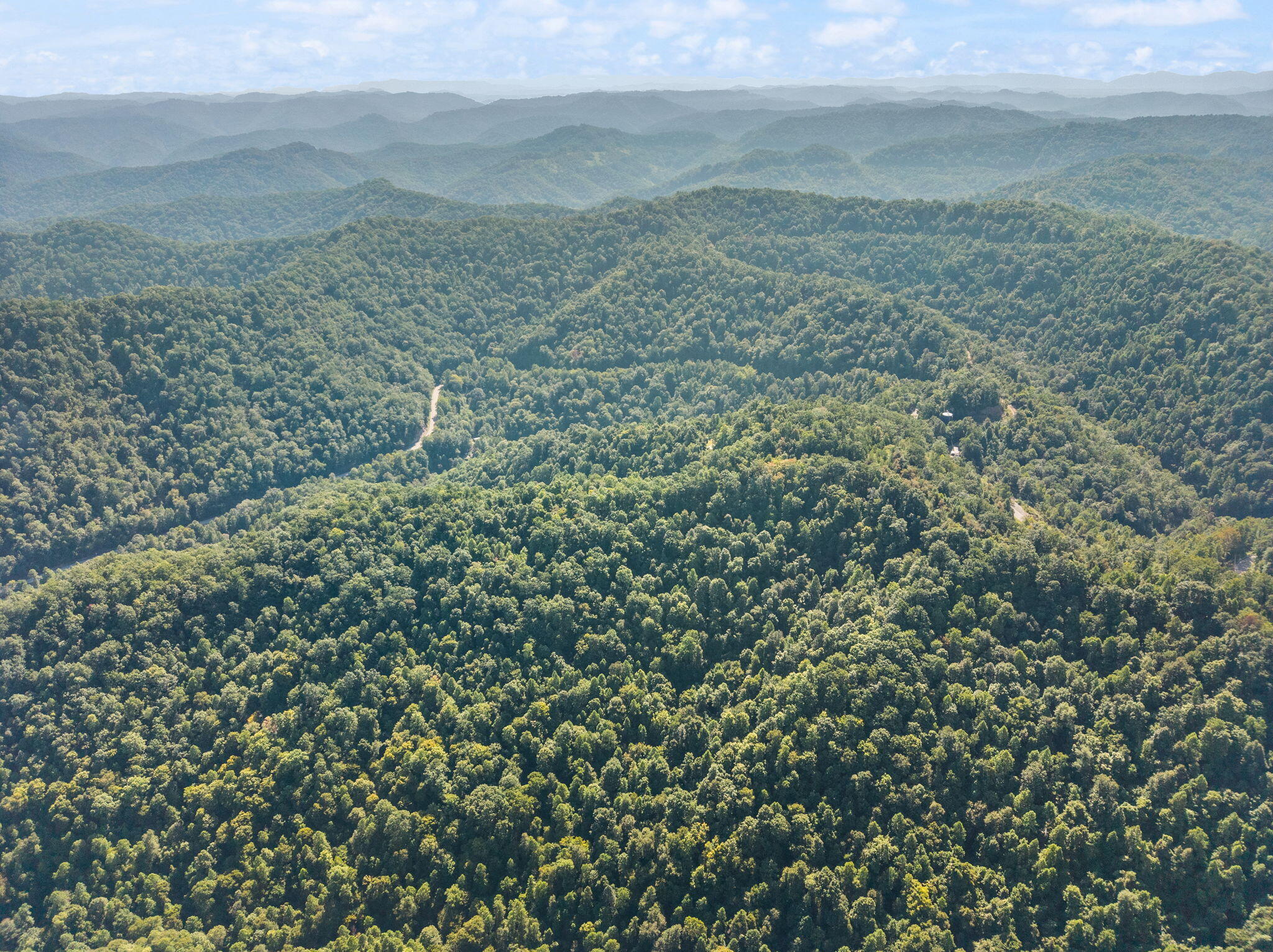 0 Bill Dee Br Road Kite, KY 41828 - Photo 35 of 45 9-web-or-mls-DJI_20260824105429_0333_D