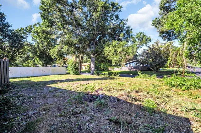 a view of yard with tree