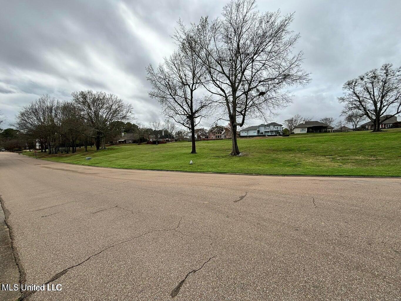 Northbay Cove Madison, MS 39110 - Photo 2 of 4 Northbay Cove Pic 3