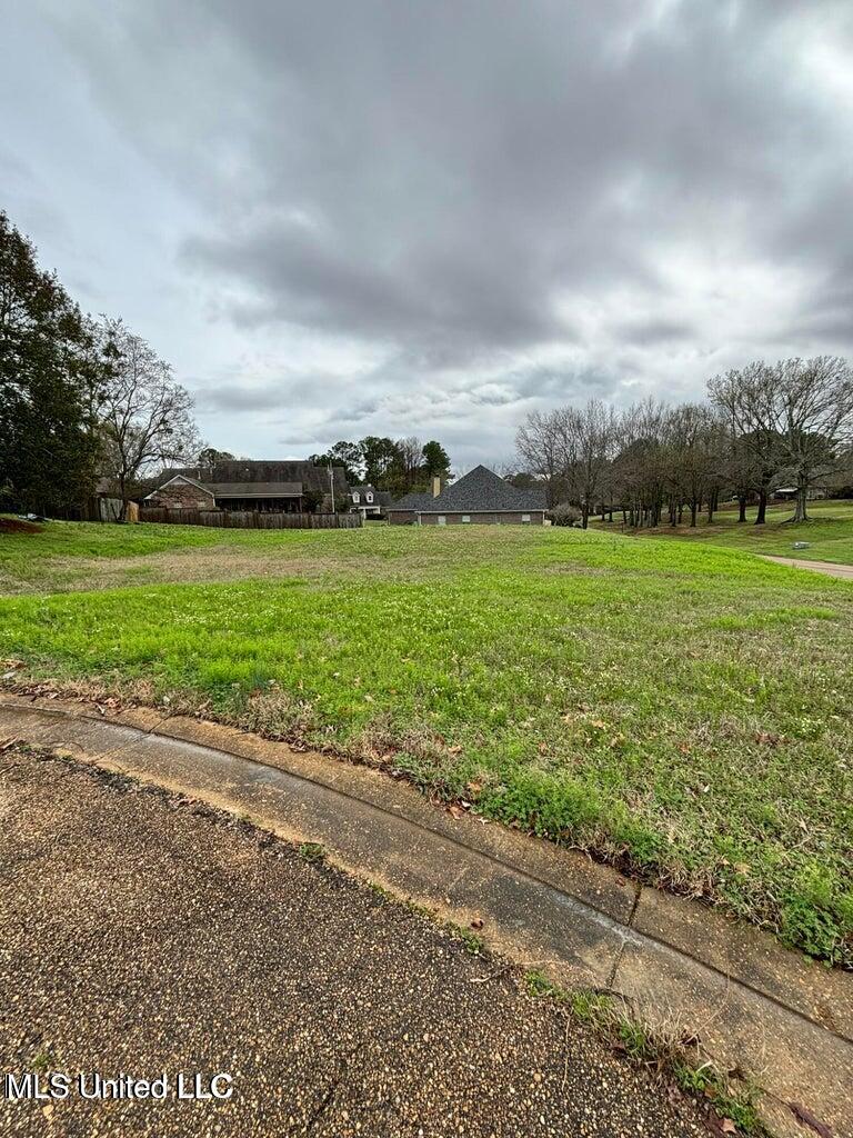 Northbay Cove Madison, MS 39110 - Photo 4 of 4 Northbay Cove Pic 1