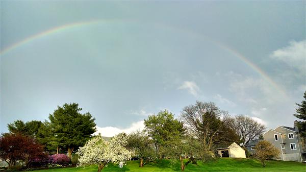 1 Autumn Lane, Unit 1 Amherst, MA 01002 - Photo 29 of 30