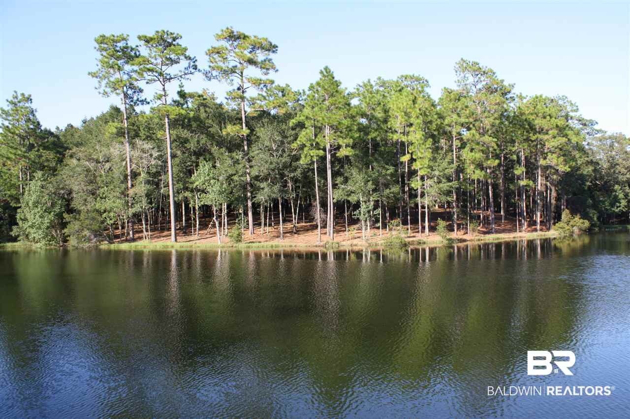 43 Shady Lane Hope Hull, AL 36043 - Photo 6 of 19