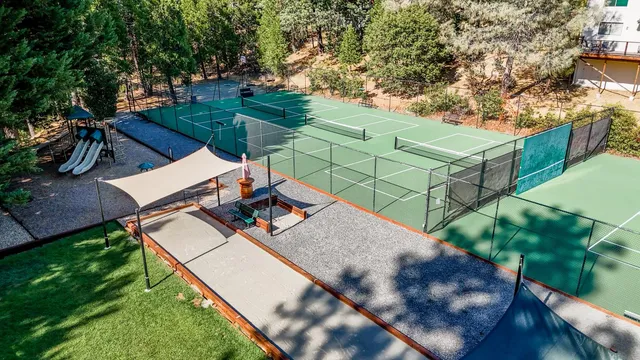 a view of a backyard with lawn chairs under a large tree