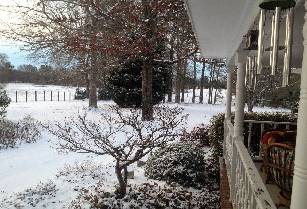 1774 O Neal Road Talbotton, GA 31827 - Photo 17 of 21 Gallery Image 17