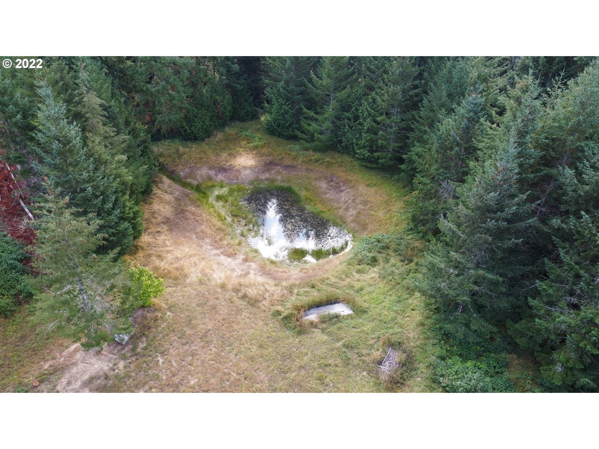 2763 Upper Smith River Road Drain, OR 97435 - Photo 15 of 24 Pond