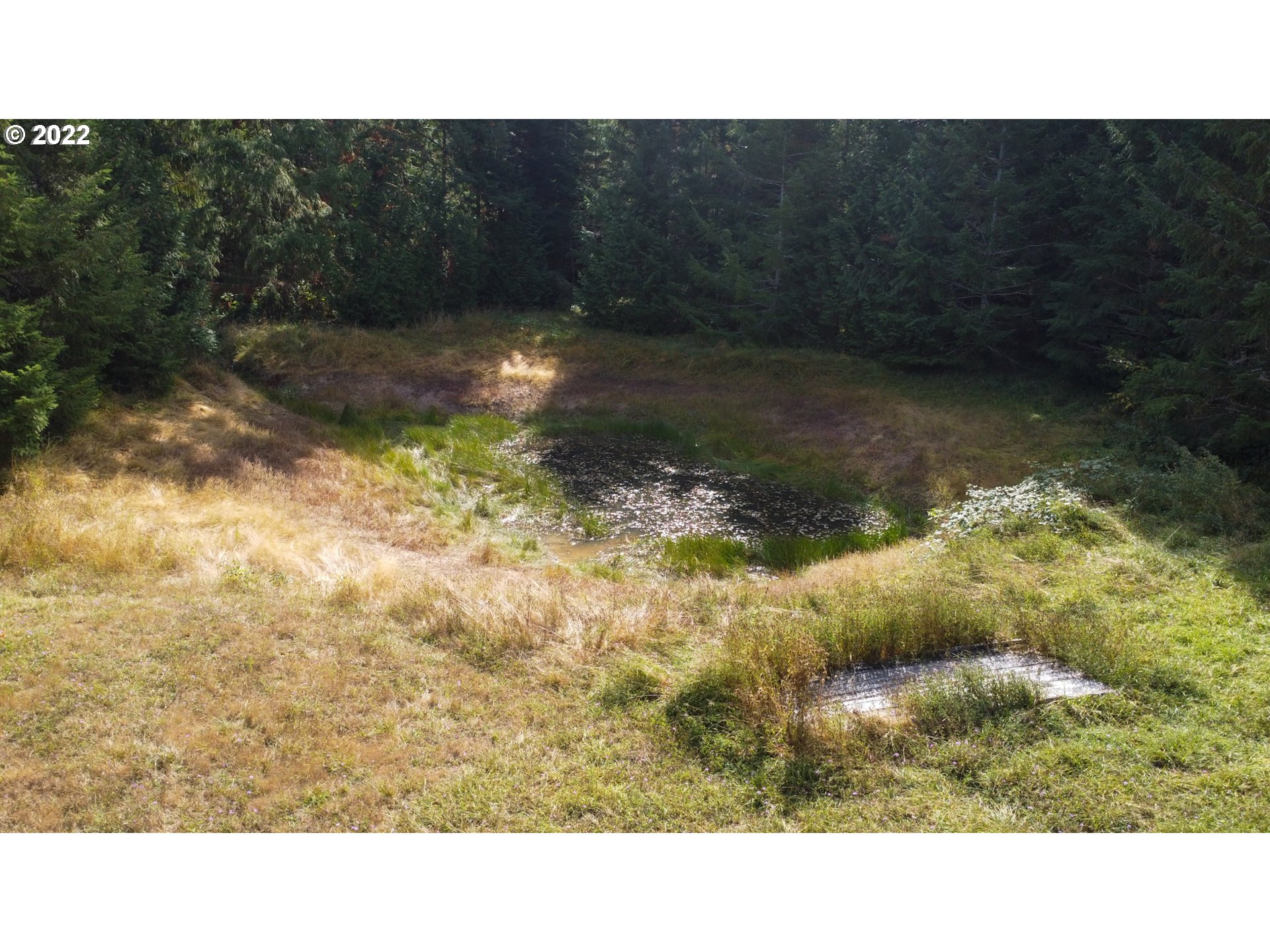 2763 Upper Smith River Road Drain, OR 97435 - Photo 16 of 24 Pond