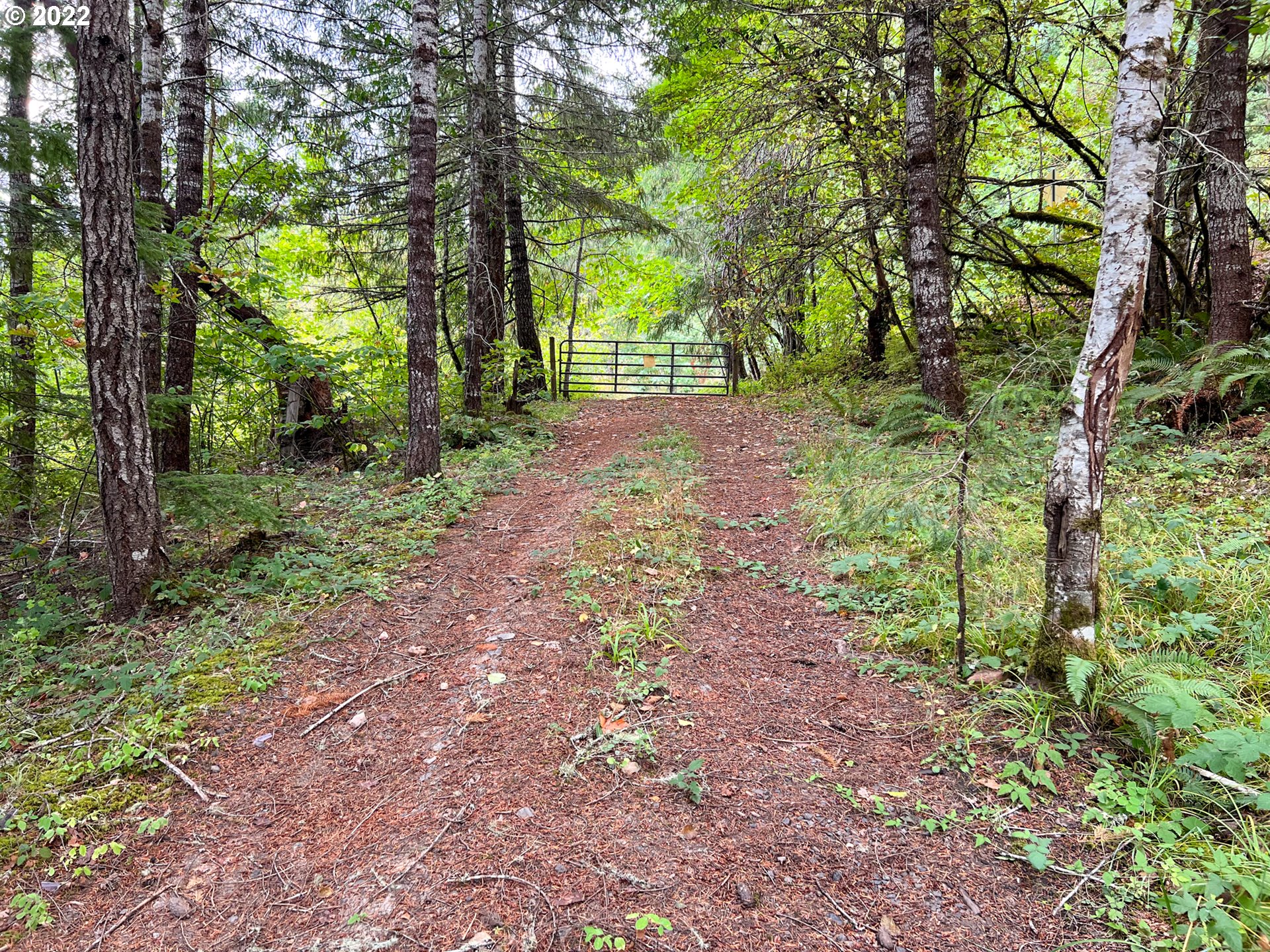 2763 Upper Smith River Road Drain, OR 97435 - Photo 17 of 24 Gallery Image 17