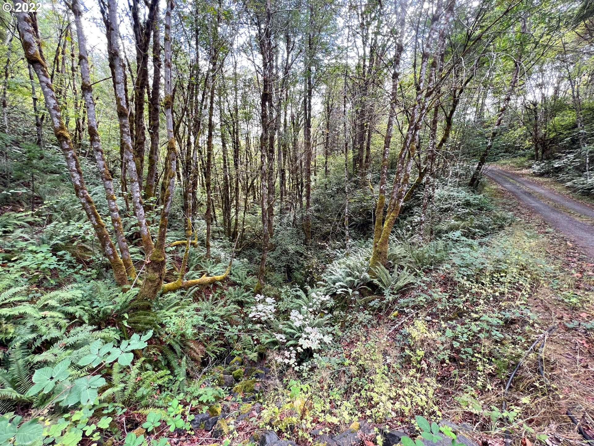 2763 Upper Smith River Road Drain, OR 97435 - Photo 24 of 24 Gallery Image 24