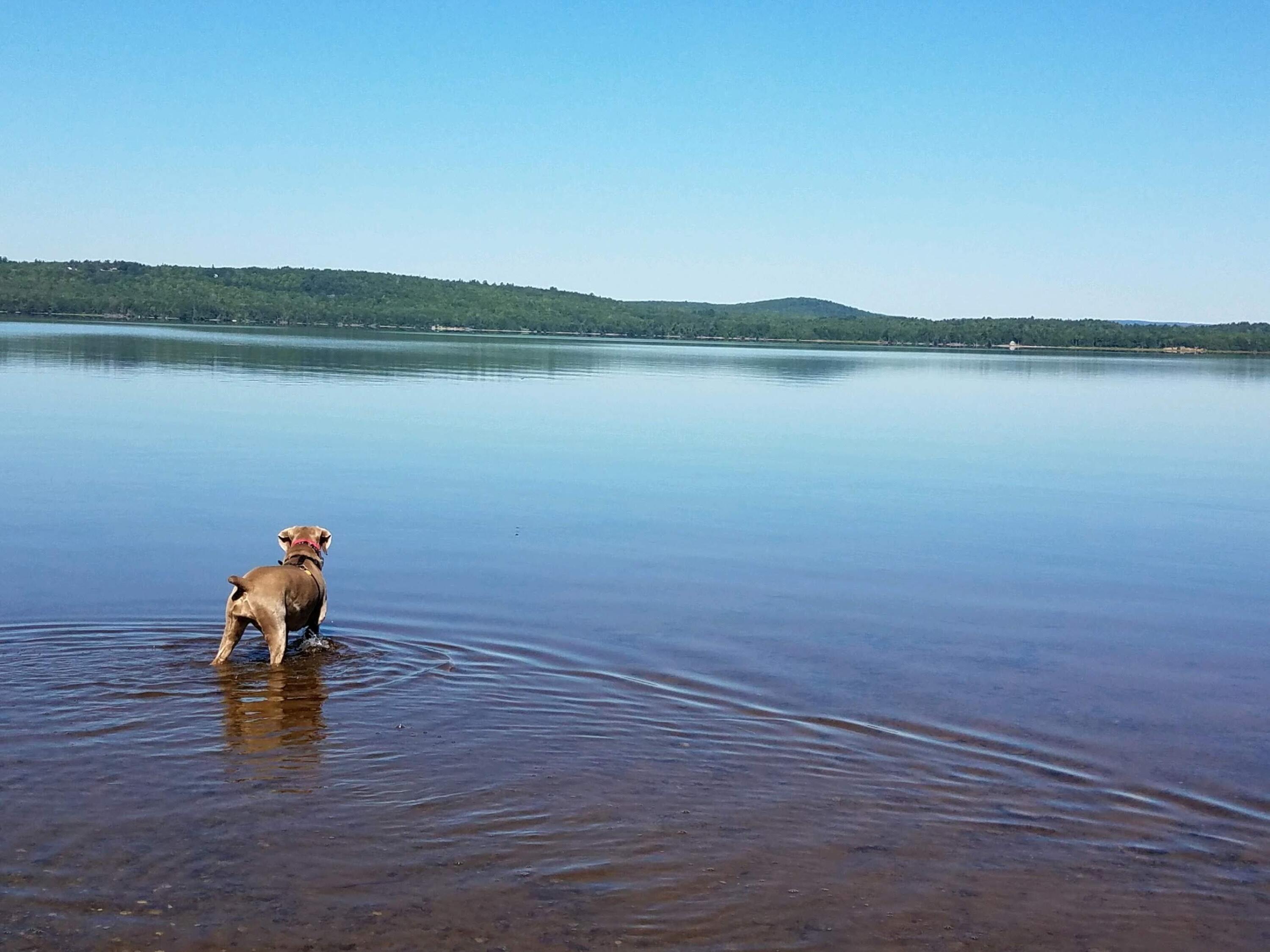 Lot#13 Peaceful Point Road Ellsworth, ME 04605 - Photo 1 of 45 Graham Lake...