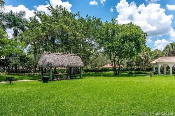 a view of a park with large trees