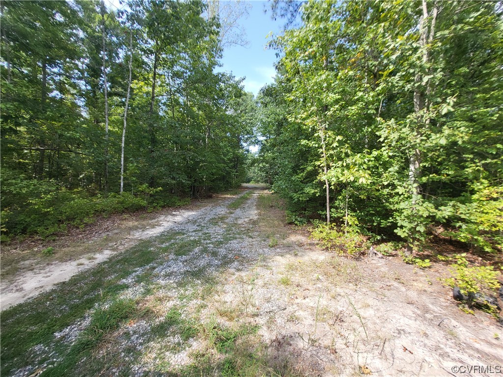 Tbd Tbd King William Road Aylett, VA 23009 - Photo 3 of 4 Gallery Image 3