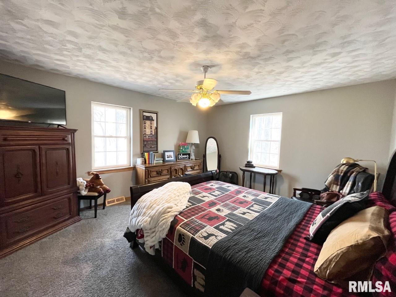 1551 Logan Hollow Road Ava, IL 62907 - Photo 8 of 18