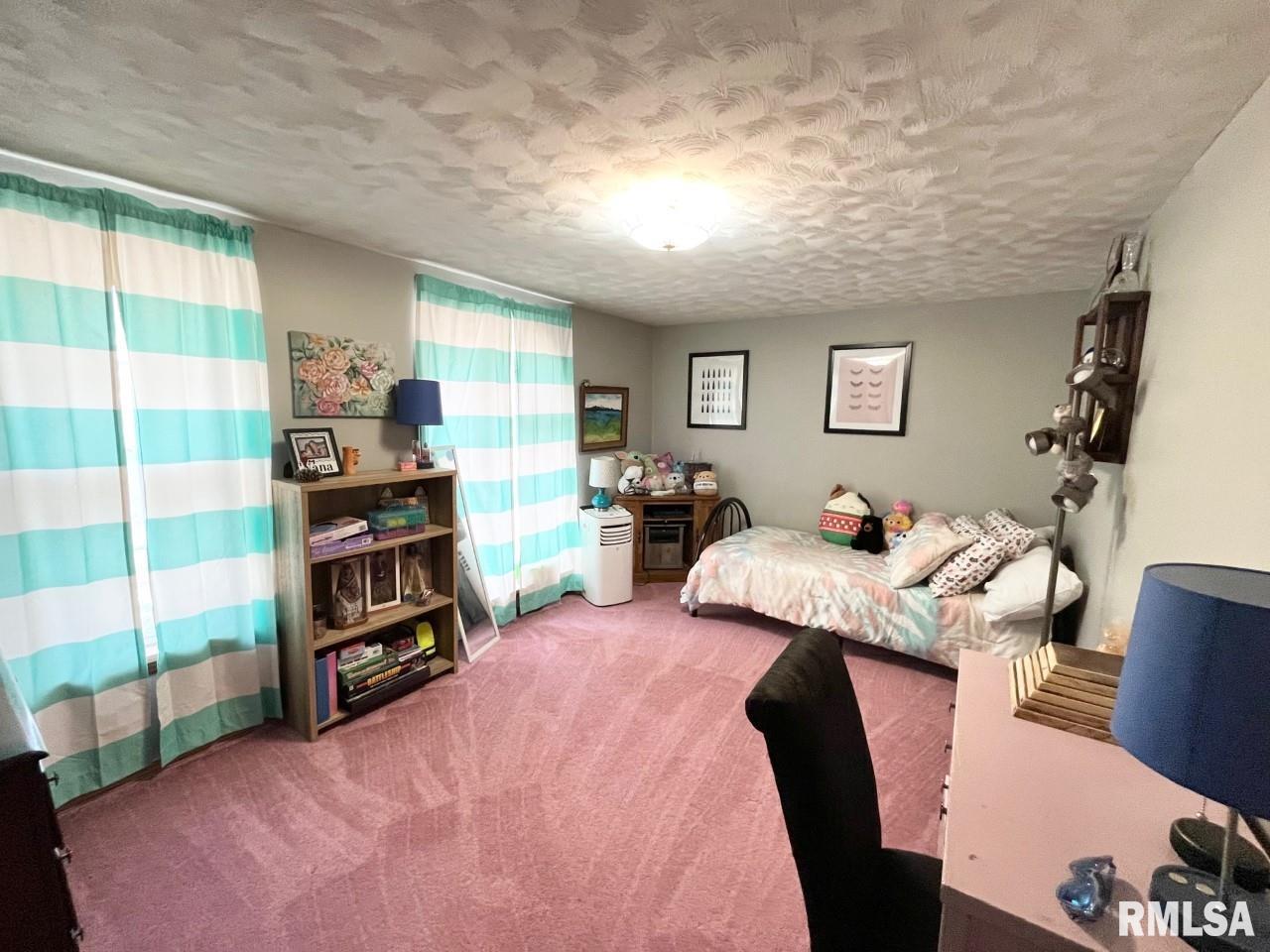 1551 Logan Hollow Road Ava, IL 62907 - Photo 9 of 18