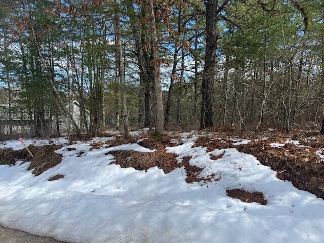 Lot 43 Rattlesnake Road Brownfield, ME 04010 - Photo 8 of 17 Road frontage on Rattlesnake & Wakefield