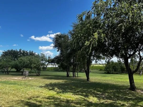 a view of a park with large trees