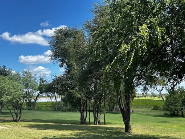 a view of a backyard with large trees