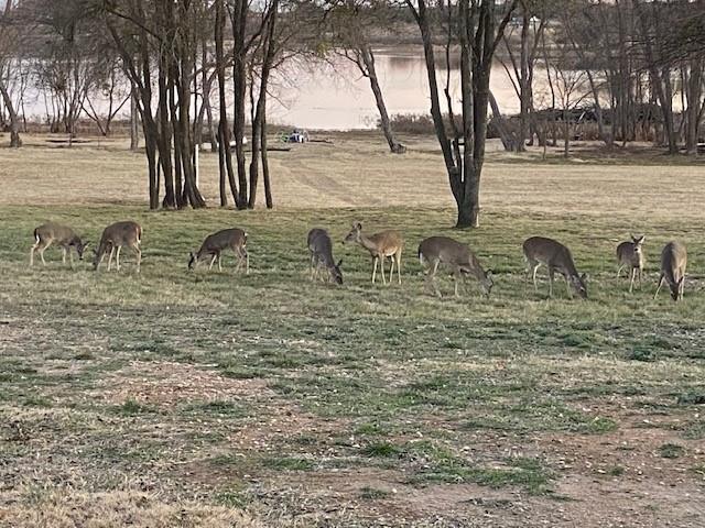 365 Mercers Preserve Road Comanche, TX 76442 - Photo 27 of 27 a view of a lake with trees