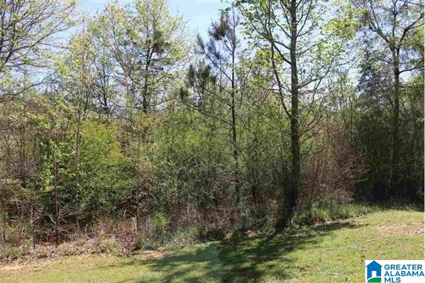Lot 52 Brenda Lane, Unit 52 Montevallo, AL 35115 - Photo 6 of 6